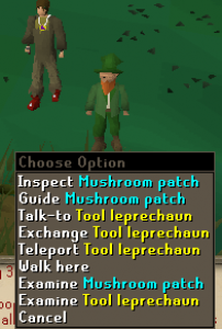 The Tool Leprechaun