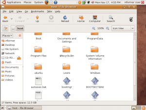 Windows files, found through the Ubuntu file explorer
