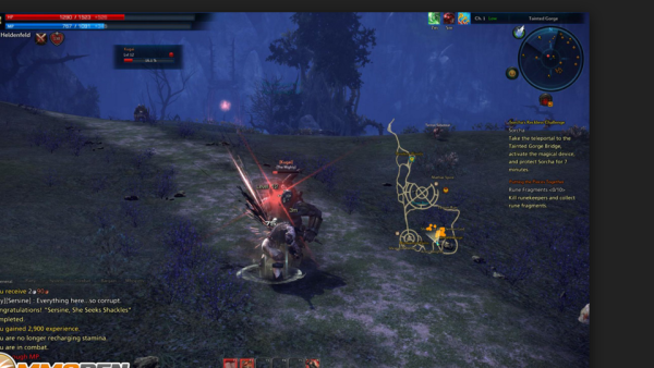 tera combat