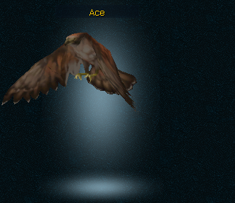 Ace the hunter pet