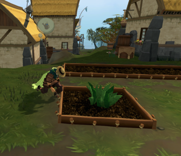 Herb Farming